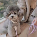 Leather Dog Collar And Leash