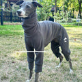 Four-Way Stretch Thermal Dog Base Layer Top