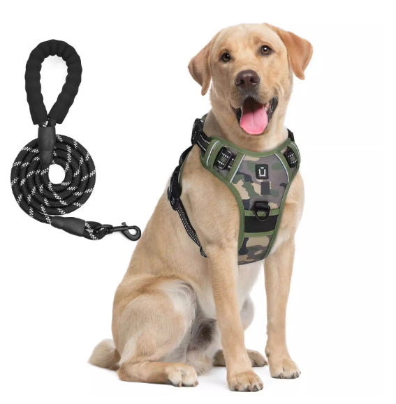 Dog Harness And Leash Combo With Escape Proof Design