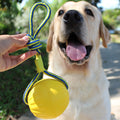 Pet Toy Bite Resistant Puppy Molar Interaction Ring