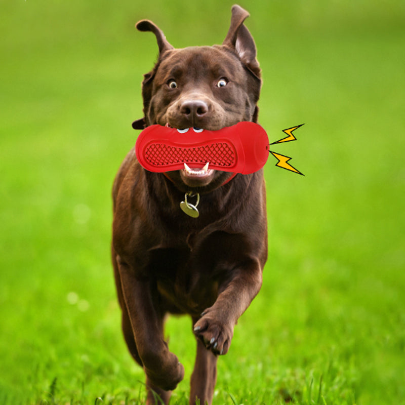 Vocal Rubber Rugby Dog Toy