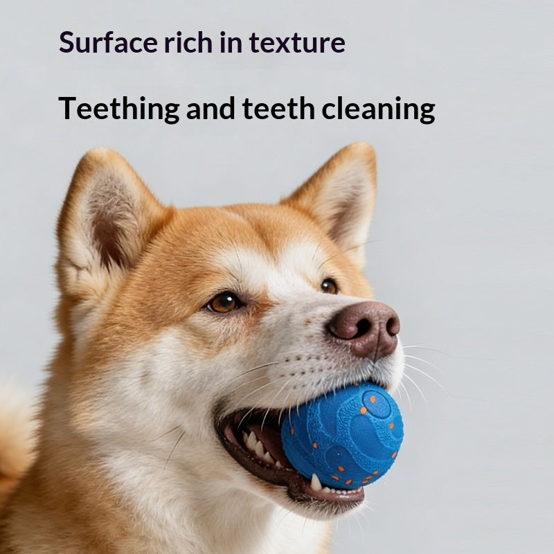 Dog Toy Ball Automatic Dog Walker Smart Electric Teaser Bite-Resistant
