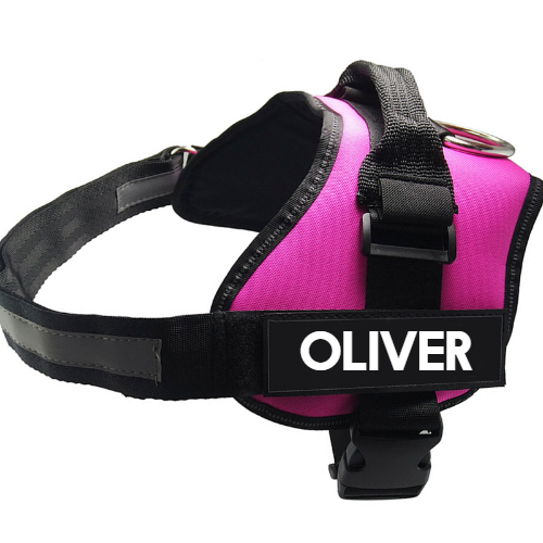 Nylon Pet Chest Harness And Leash