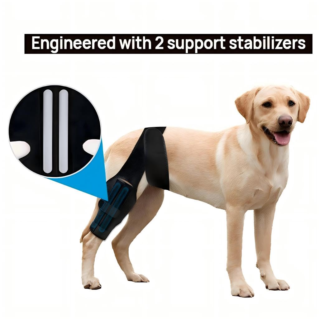 Adjustable Dog Knee Brace for Hind Leg