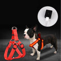 LED Luminous Dog Harness
