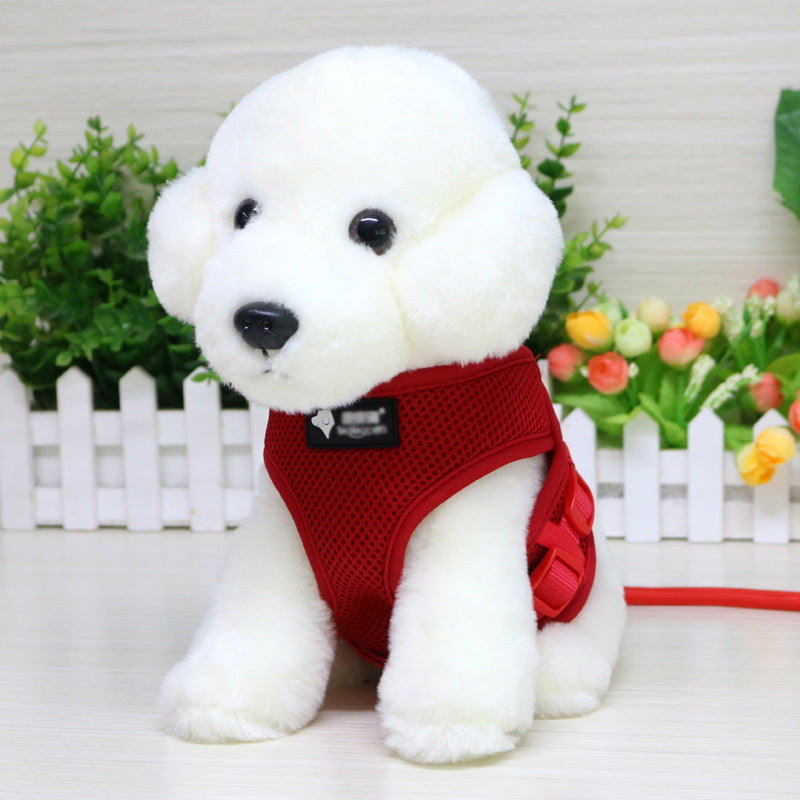 Dog Leash and Collar