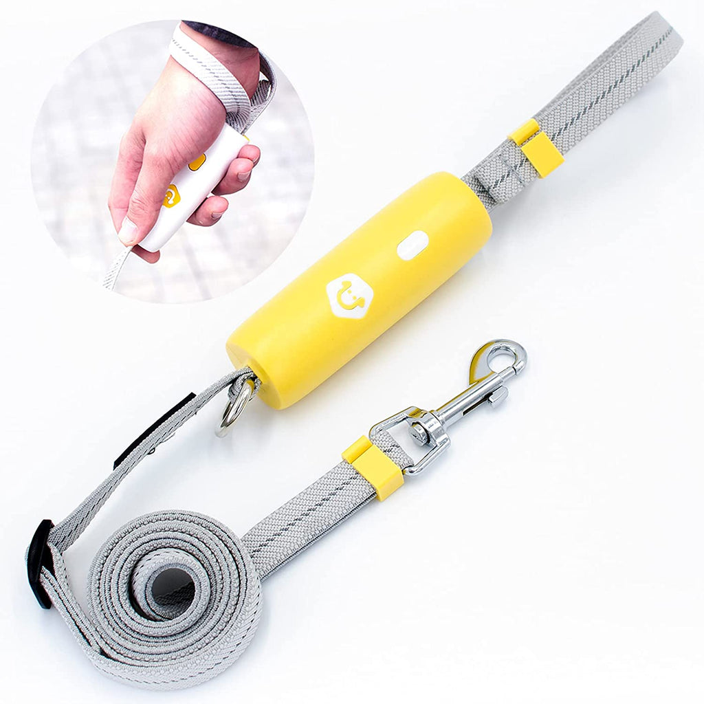 Elastic Dog Leash For Small And Medium Dogs