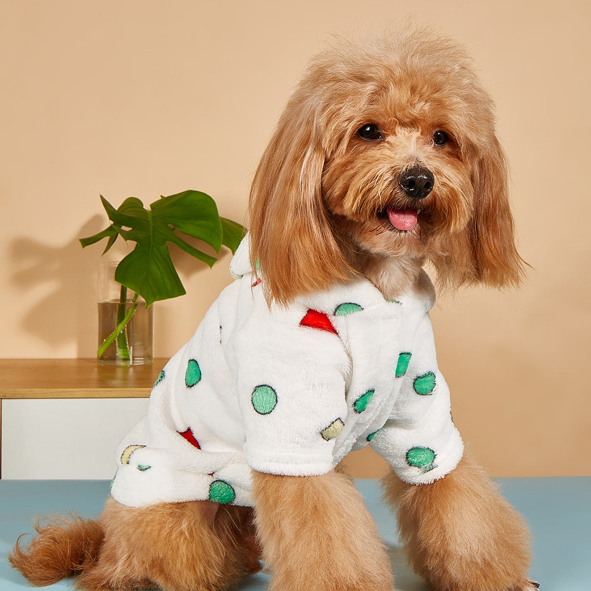 Small Dog Warm Plush Coat