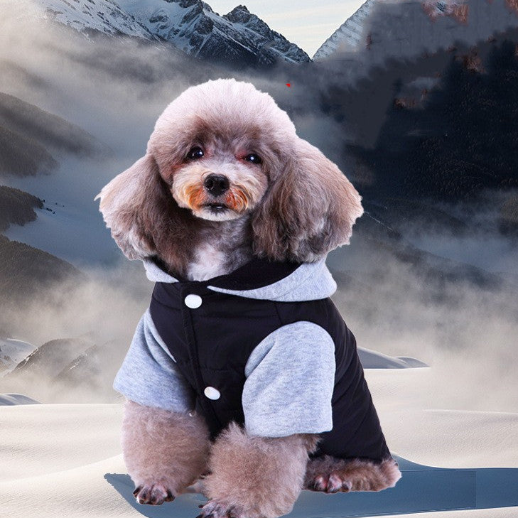 Winter Dog Coat
