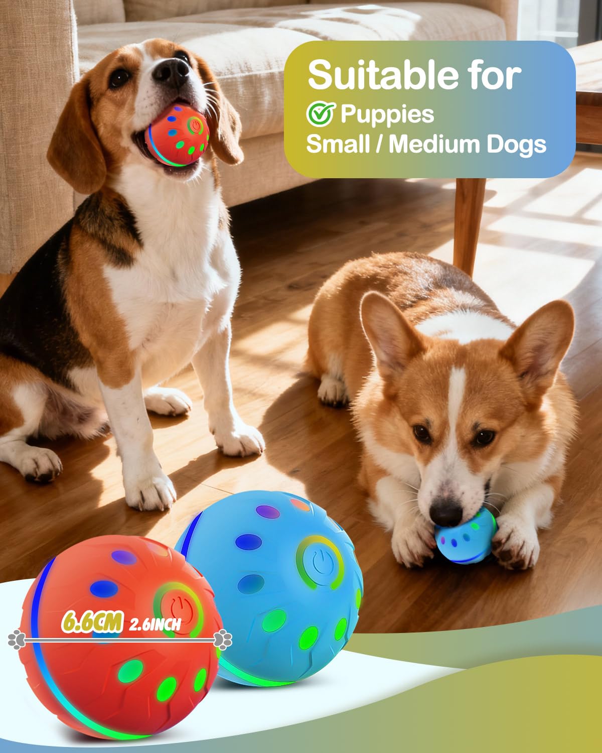 2 Pack Interactive Light-Up Dog Ball Toys