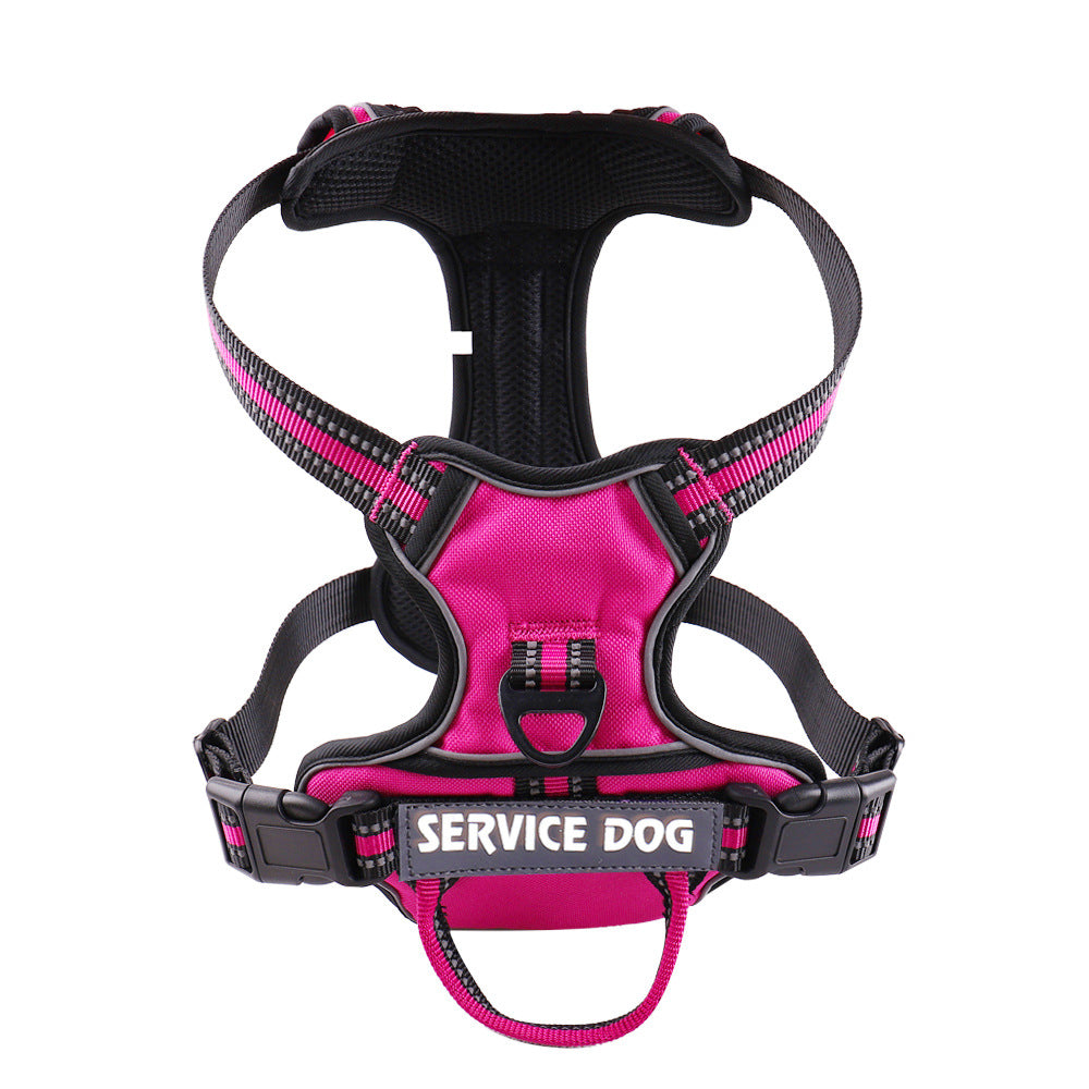 Personalized Oxford Dog Back Strap