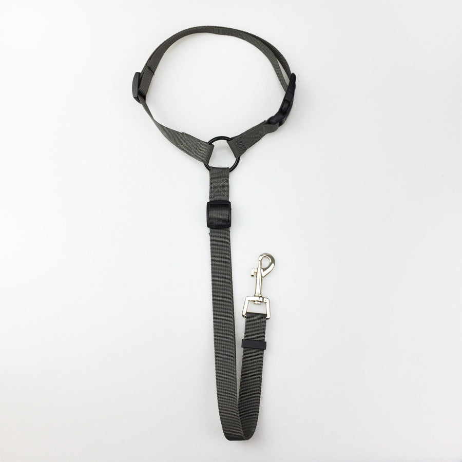 Nylon Pet Safety Leash