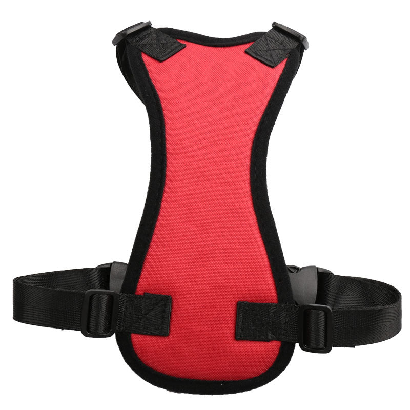 Car Seat Belts for Pets
