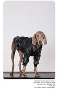 Autumn Black Leather Dog Jacket