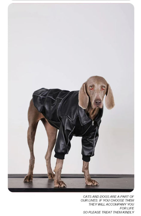 Autumn Black Leather Dog Jacket