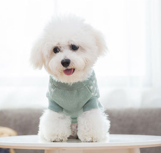 Wool Dog Sweater