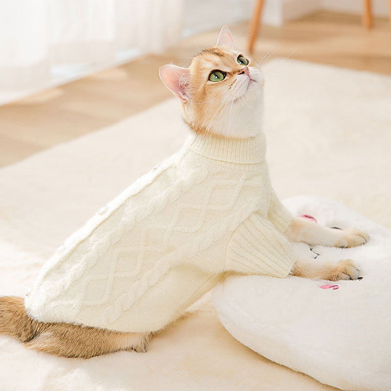 Knit Sweater Kitty Autumn And Winter Warm Two-Legged Clothes