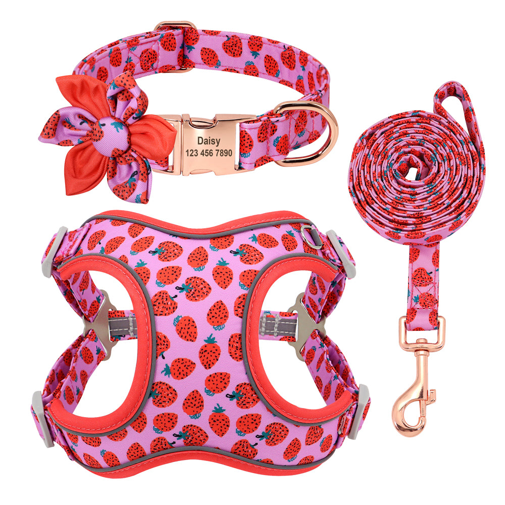 Dog Collar Leash And Strap Set