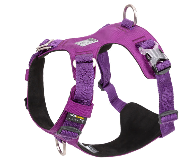 Lightweight Outdoor Dog Walking Harness