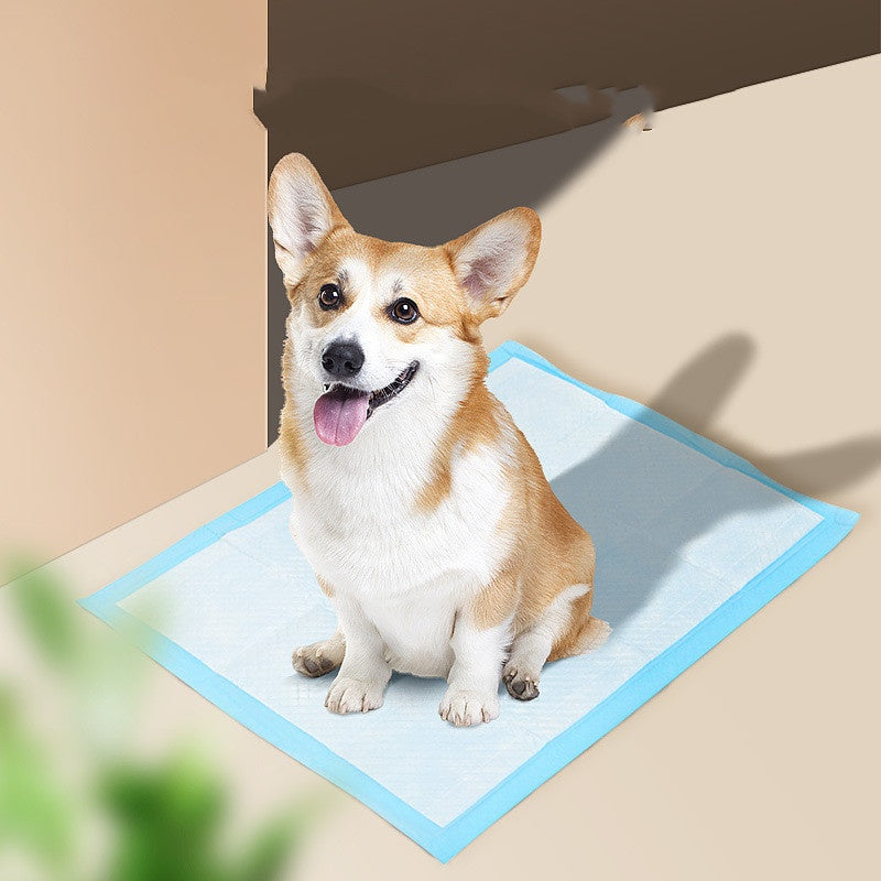 Absorbent Dog Training Pad