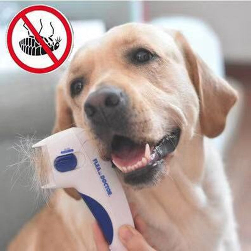 Electric Lice and Flea Pet Comb