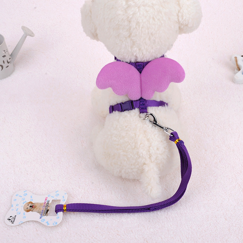 Pet Walking Dog Angel Wings Hand Holding Rope