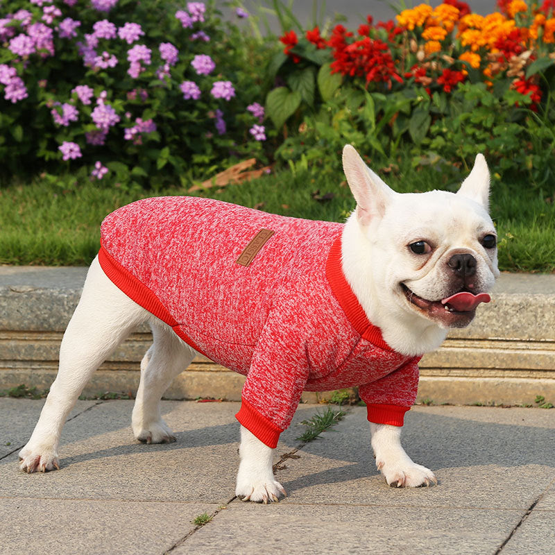 Fall Winter New Style Sweater Two-Legged Clothes Dog Supplies