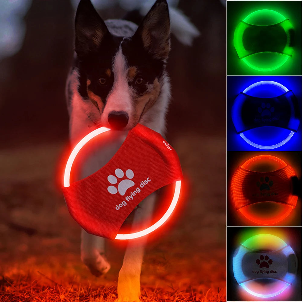 Glowing LED Dog Flying Disc