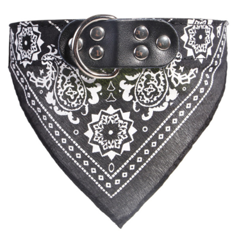 Pet Lettering Dog Collar Medium Dog Large Dog Neck Collar Collar Collar