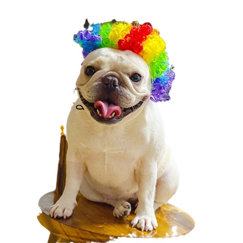 Dog Headdress And Wig Sheath
