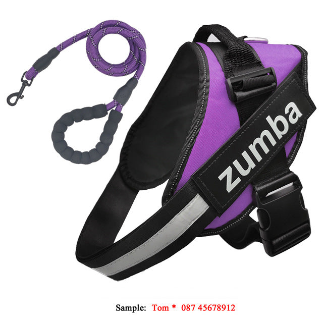 Personalized Reflective Adjustable Dog Harness And Leash Set