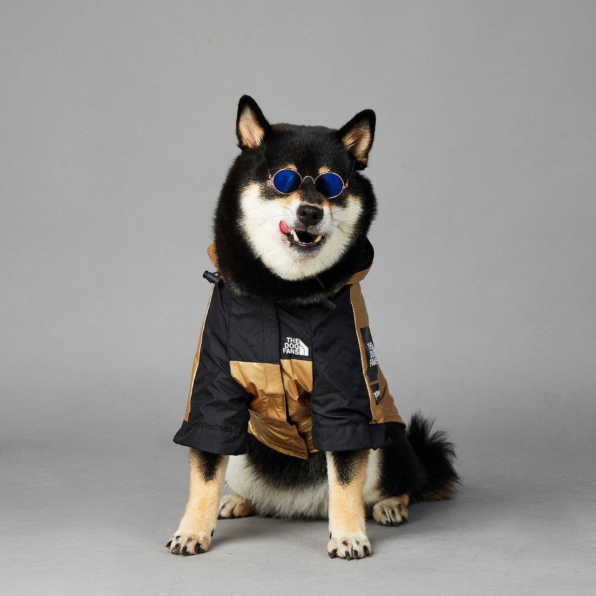 Windproof Rainproof Large Dog Raincoat Jacket