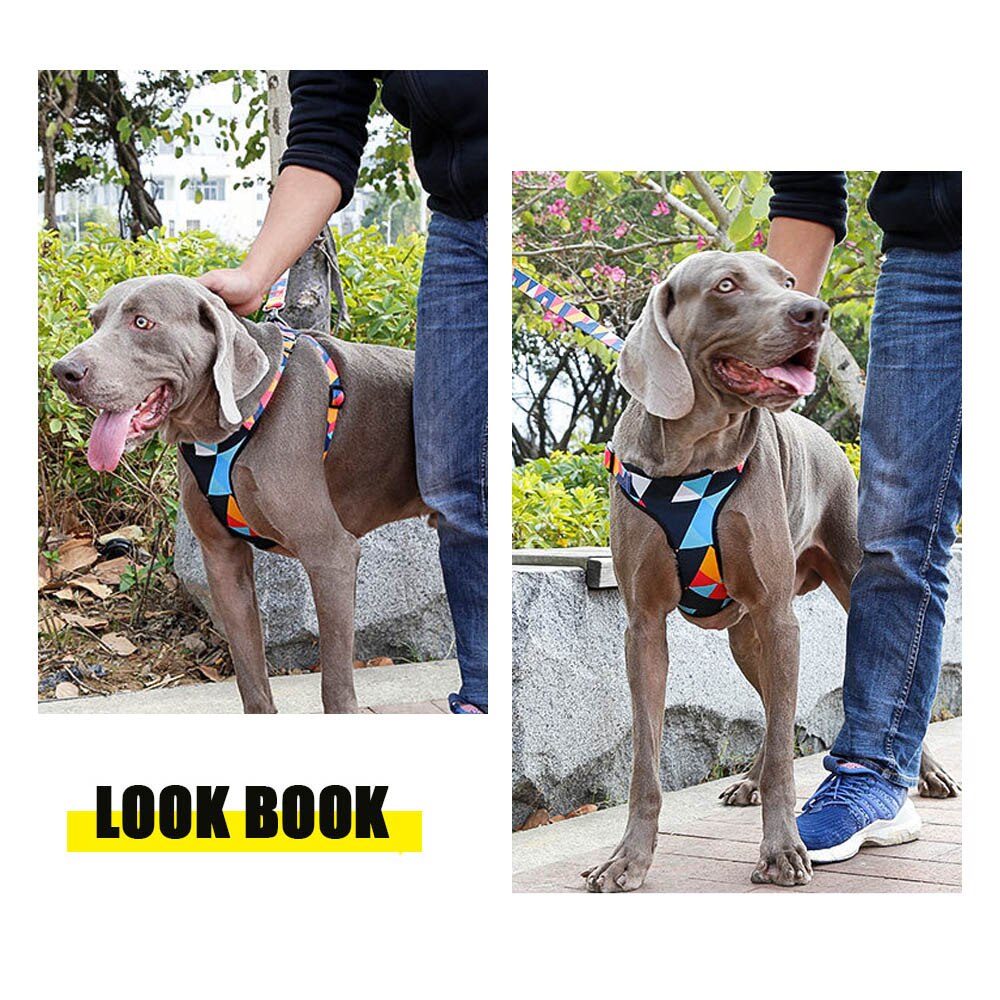 Dog'S Chest Harness Traction Rope