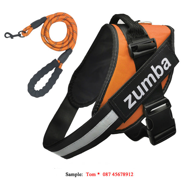 Personalized Reflective Adjustable Dog Harness And Leash Set