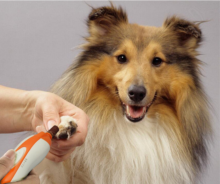 Electric Manicure, Pet Nail Sharpener