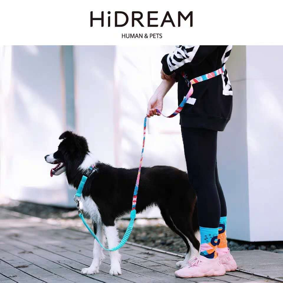 Half P Explosion-Proof Collar Pet Traction Neckband