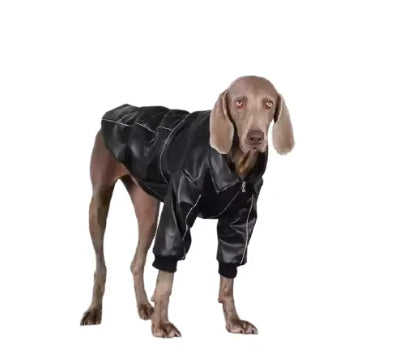 Autumn Black Leather Dog Jacket