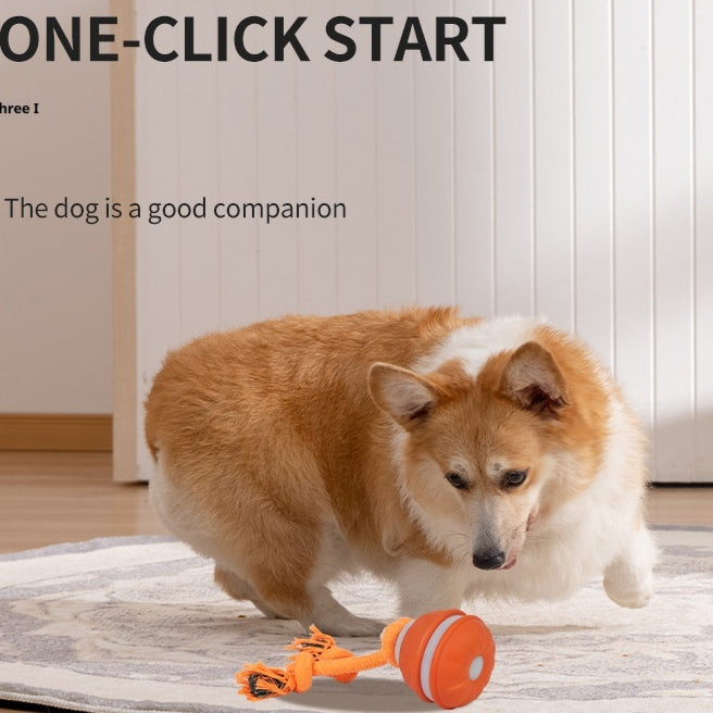 Rechargeable Interactive Rolling Dog Ball