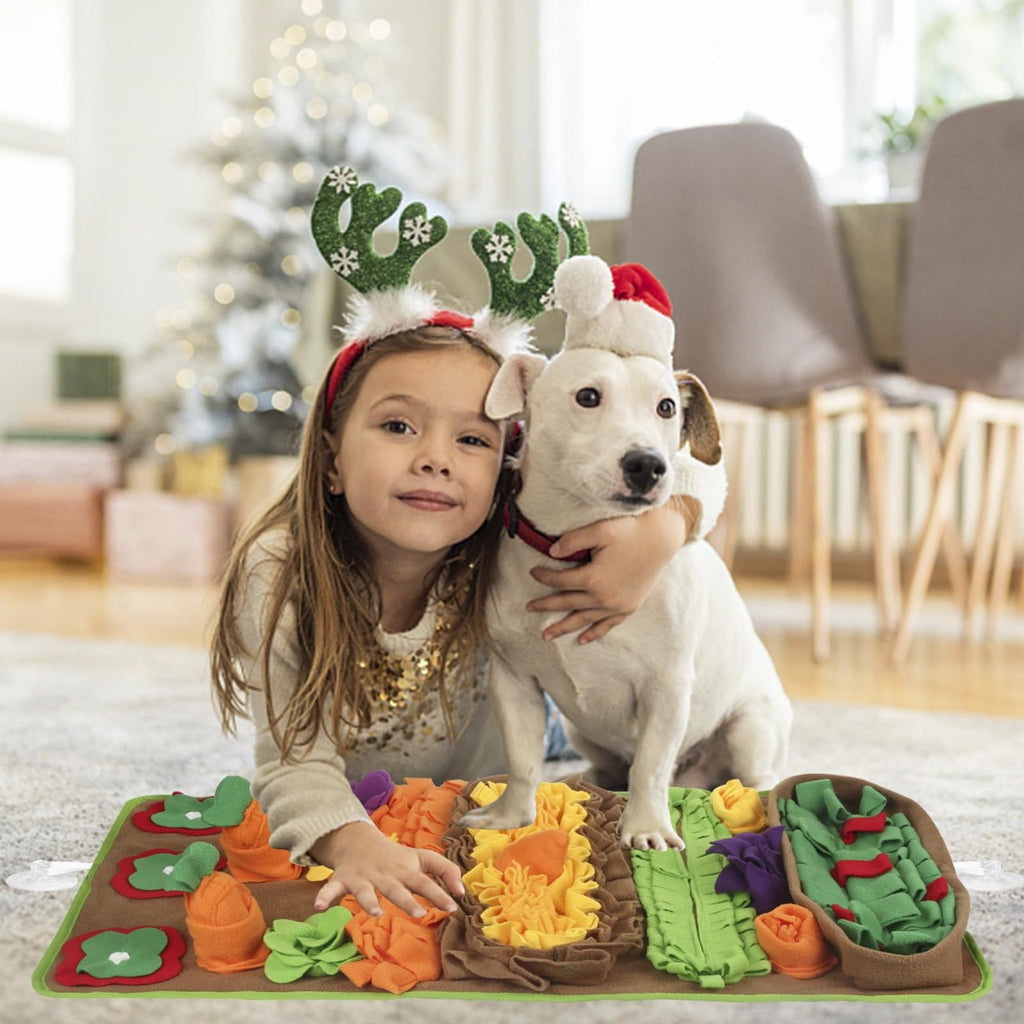 Interactive Carrot Snuffle Mat For Dogs