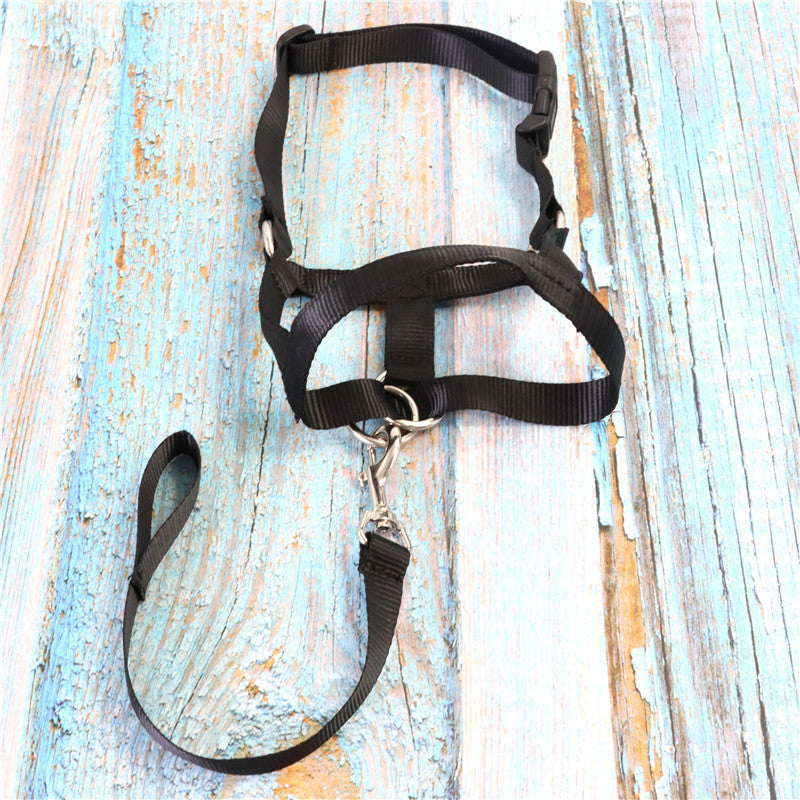 Adjustable Anti-Bite Mask Pet Traction Suit Training Belt Pet Muzzle