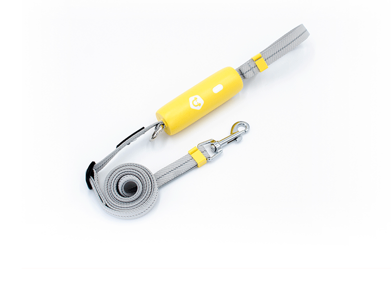 Elastic Dog Leash For Small And Medium Dogs
