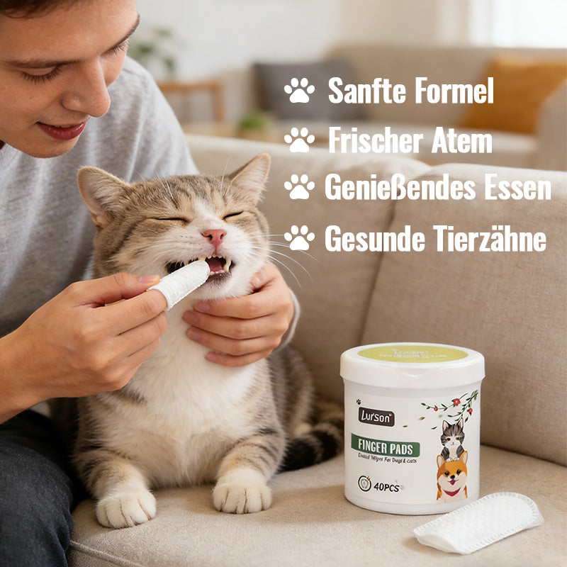 Pet Antibacterial Tooth Cleaning Cap