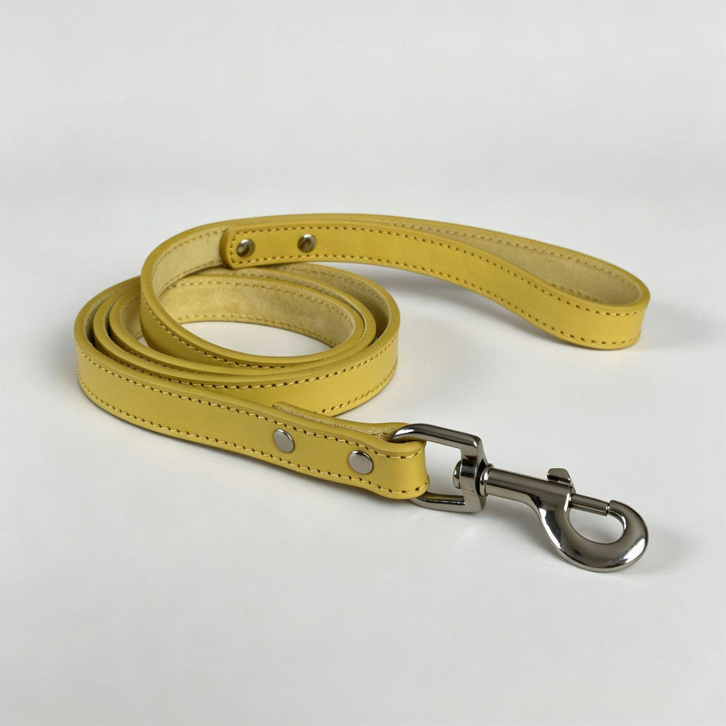 Leather Pet Leash in Multiple Colors