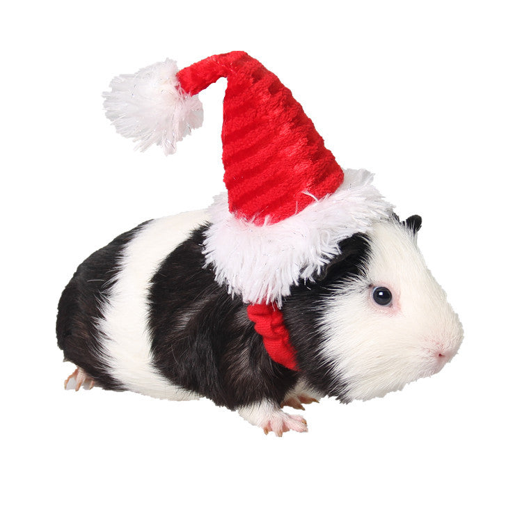 Flannel Strapped Hedgehog Christmas Red Hat