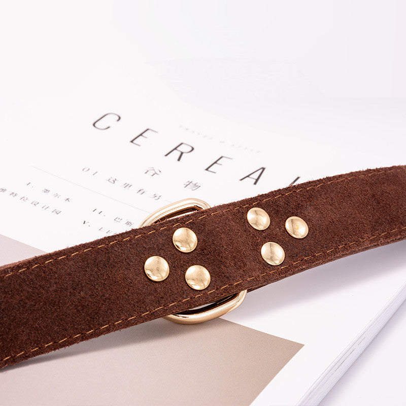 Dog Collar In Three Sizes