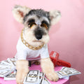 Pet Necklace Bead Chain