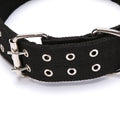 Dog Collar
