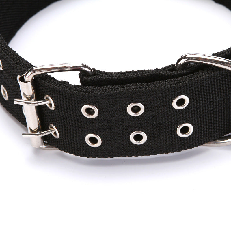 Dog Collar
