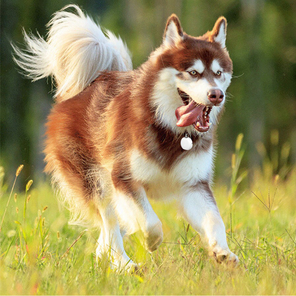 Mini Pet GPS Locator