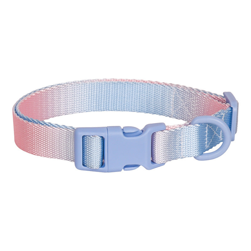 Large Anti-Rust Gradient In Dog Collar